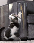 PawControl™ Cat Scratch Furniture Protector